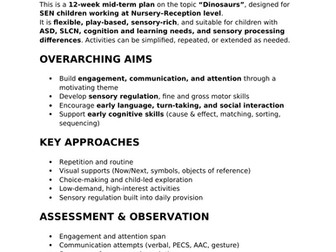 Dinosaur Mid term Plan for SEN/EYFS