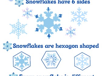 Snowflake Fun Facts