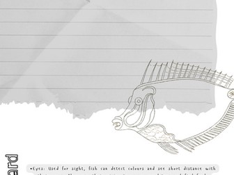 Louis Renard research template