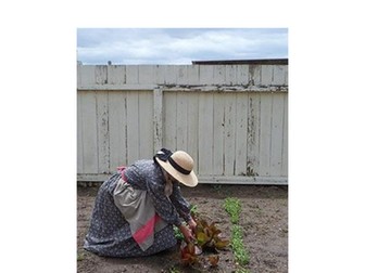 Courting Cate Comprehension Quizzes