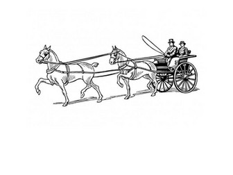 Minding Molly Comprehension Quizzes