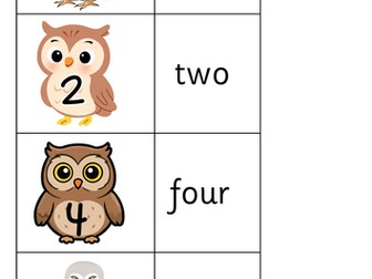 Owl Number Hunt