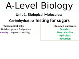 Biological Molecules. Testing for monosaccharides & disaccharides