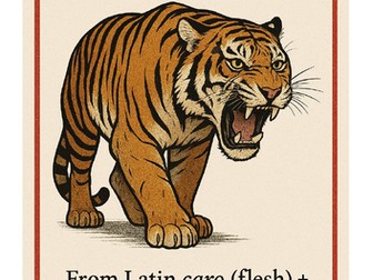 Etymology KS3 Ecology keywords