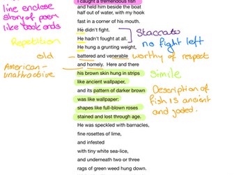 Elizabeth Bishop Poem Annotations