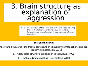3. Brain structure as explanation of aggression