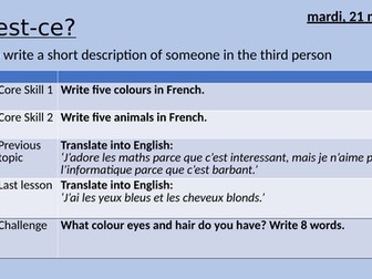 Physical descriptions - hair and eyes - French - including sentence builder