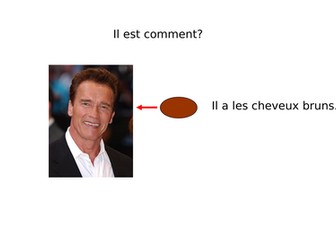 Full lesson physical description hair and eyes French