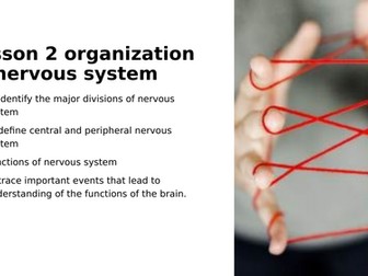 PowerPoint on structure of brain
