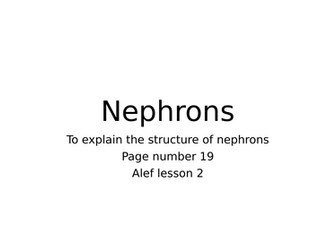 power point on nephron structure
