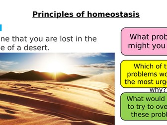 AQA GCSE Biology – B10 Nervous System - PowerPoint pack
