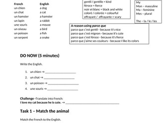 Year 7 French Mes animaux Cover work