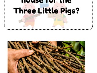 Three little pigs - House Building