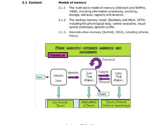 3. Multi-Store Model
