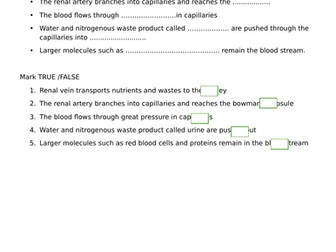 Worksheet on structure and function of nephrons