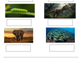 EYFS Phonics Initial Sounds