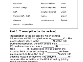 Edexcel IGCSE Biology Protein Synthesis CLOZE worksheet  (with answers)