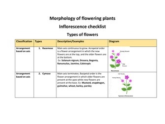 Morphology of flowers -Worksheets