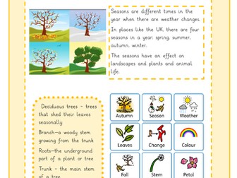 Year 1 Science Autumn Knowledge Organiser