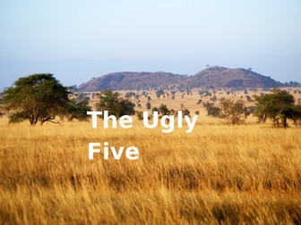 EYFS - The Ugly Five - Quick Powerpoint