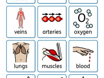 Year 6 - MTP-Science-Animals inc Humans