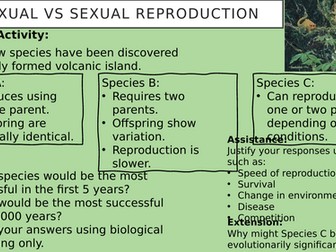 Asexual vs Sexual Reproduction Lesson PowerPoint