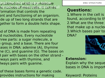 DNA Structure Lesson PowerPoint