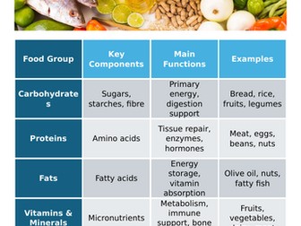 OVERVIEW OF FOOD GROUPS