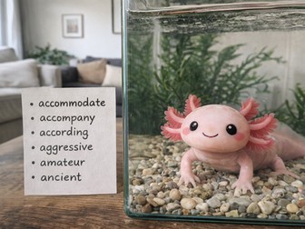 Year 5 and 5 Common Exception Words