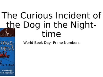 World Book Day- Curious Incident of the Dog in the Night-time Prime Numbers