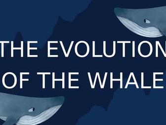 Evolution of the Whale