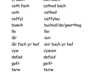 Adnodd Dysgu: Cymraeg Iaith Gyntaf (B,wyddyn 6) Anifeiliaid a'u lluosog
