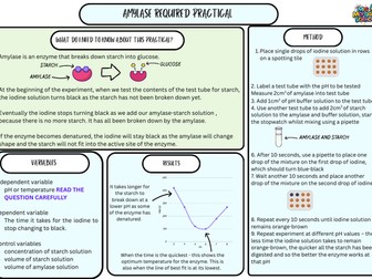 Amylase Enzyme Required Practical Summary