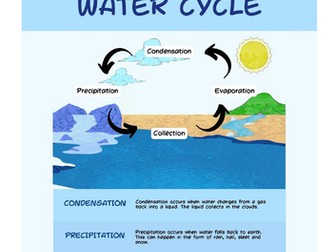 Cambridge IGCSE Marine Science (0697) Chapter 2 -Complete Theory Notes, Lecture method notes