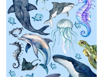 Cambridge IGCSE Marine Science (0697) Chapter 3-Complete Theory Notes, Lecture method notes