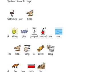 Year 1 Understanding fact or fiction texts.