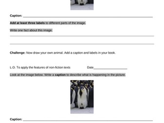 Non Chronological report activities and planning Y2