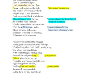 "CATRIN" (Gillian Clarke) GCSE ENGLISH LITERATURE poetry anthology