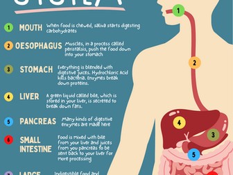 City and Guilds Level 3 Animal Management - Revision Poster Pack