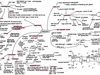 AQA A-Level Biology Photosynthesis Mindmap