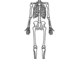 Pearson AAQ Medical Science Unit 1 C Musculoskeletal system