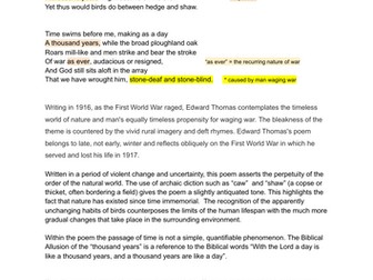 UNDERGRADUATE ENGLISH LITERATURE STUDY: Edward Thomas "February Afternoon"