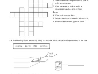 KS3 Science Microscopes pack of worksheets