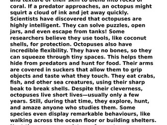 6 Fluency Texts: Score 850