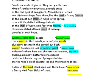 "Where I Come From" iGCSE ENLGISH LITERATURE poetry analysis