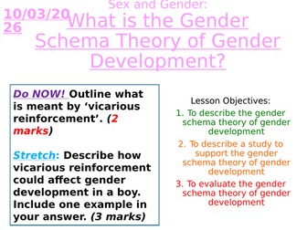Sex and Gender - What is the Gender Schema Theory of Gender Development - GCSE/A-LEVEL