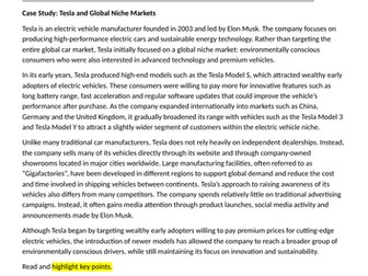 A level Business Theme 4: 4.3.2 Niche Markets