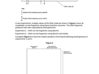 Gene Technology PPQ pack 8 Q&A