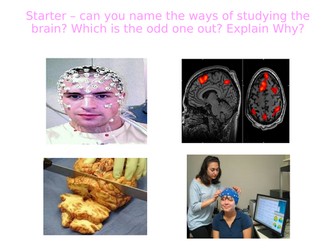 What are the way to study the brain? Brain scanning techniques - BIOPSYCHOLOGY - A LEVEL PSYCHOLOGY