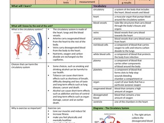 Year 6 Circulatory System Knowledge Organiser & Assessment